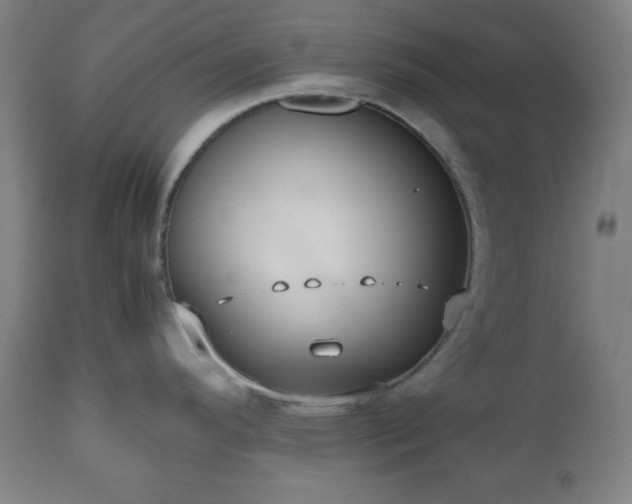 X0000112511296200908241411