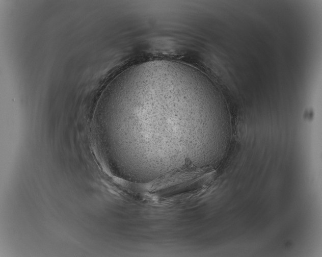 X0000112511297200908241410