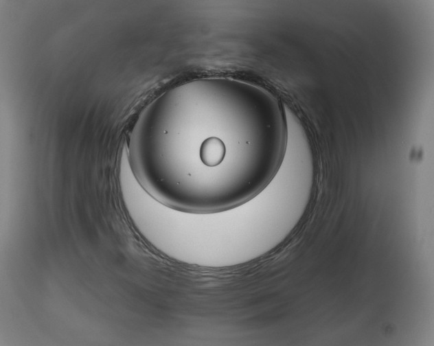 X0000112511300200908241410