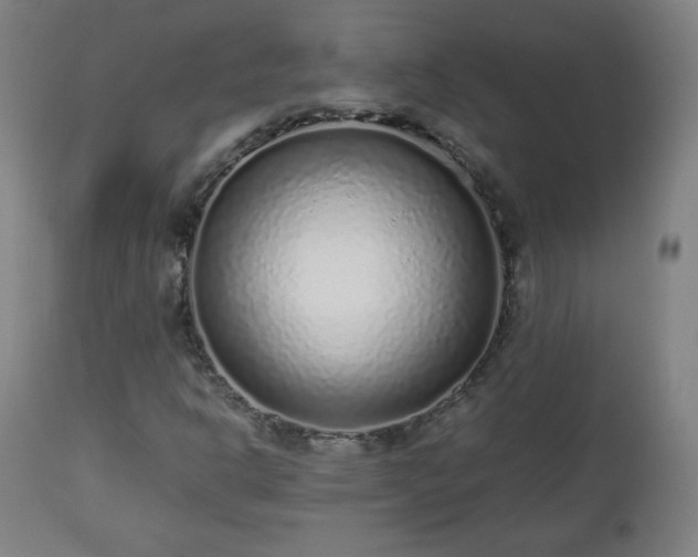 X0000112511302200908241410