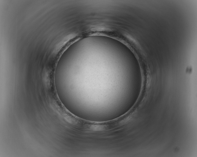 X0000112511305200908241410