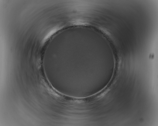 X0000112511306200908241410