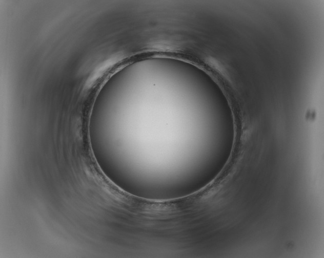 X0000112511307200908241410