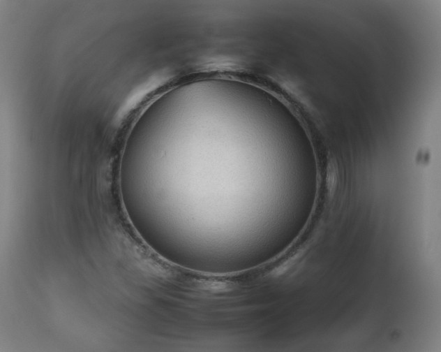 X0000112511309200908241410