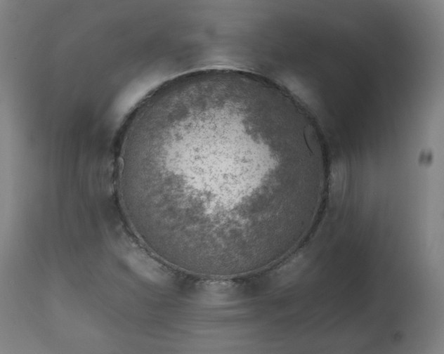 X0000112511310200908241410