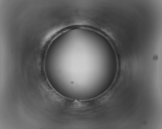 X0000112511311200908241410