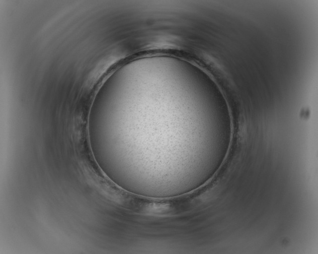 X0000112511313200908241410