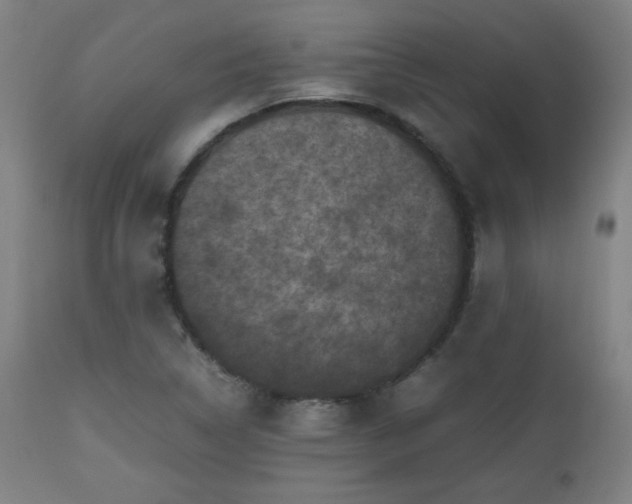 X0000112511314200908241410