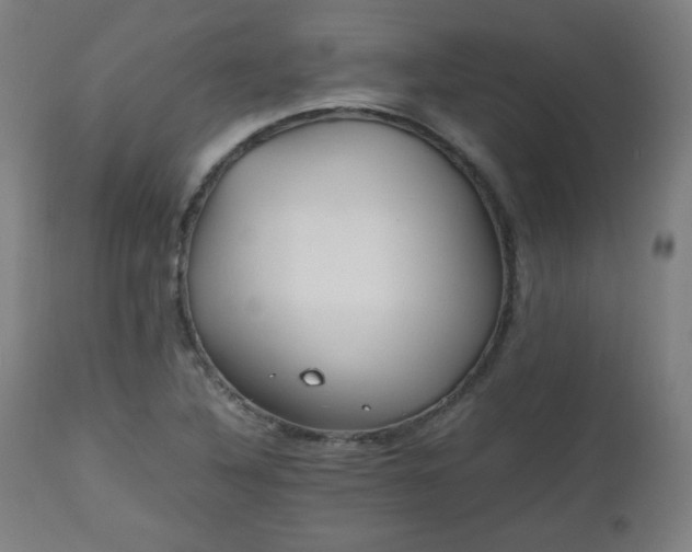 X0000112511316200908241410