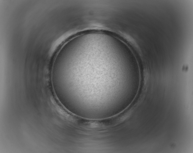 X0000112511318200908241410