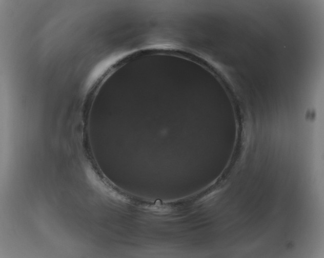 X0000112511319200908241410