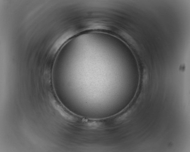 X0000112511321200908241410