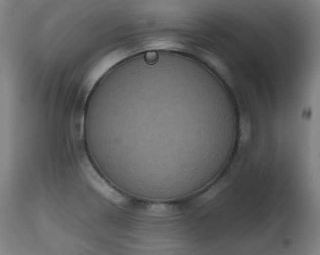 X0000112511322200908241410