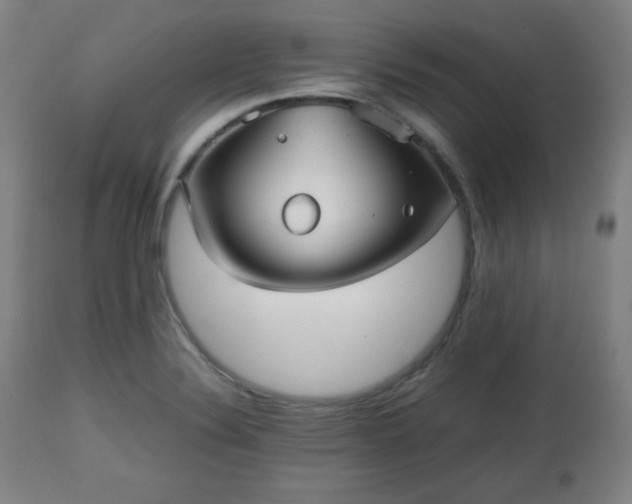 X0000112511324200908241410