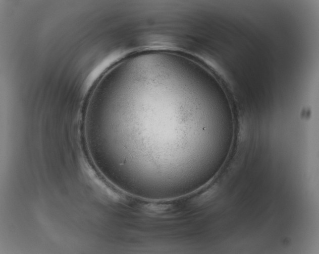 X0000112511325200908241410