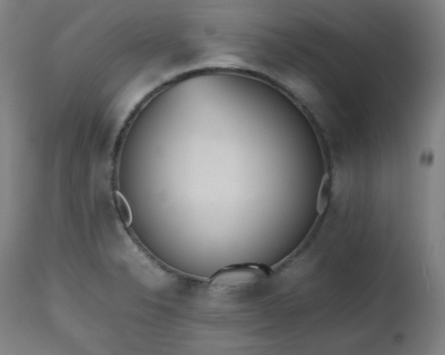 X0000112511326200908241410