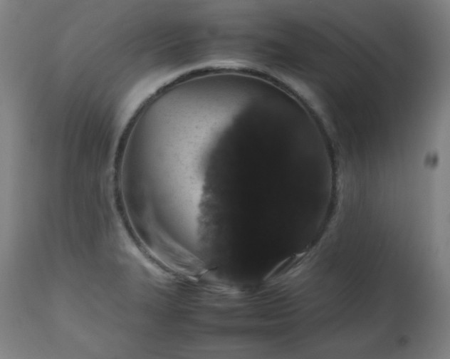 X0000112511327200908241410