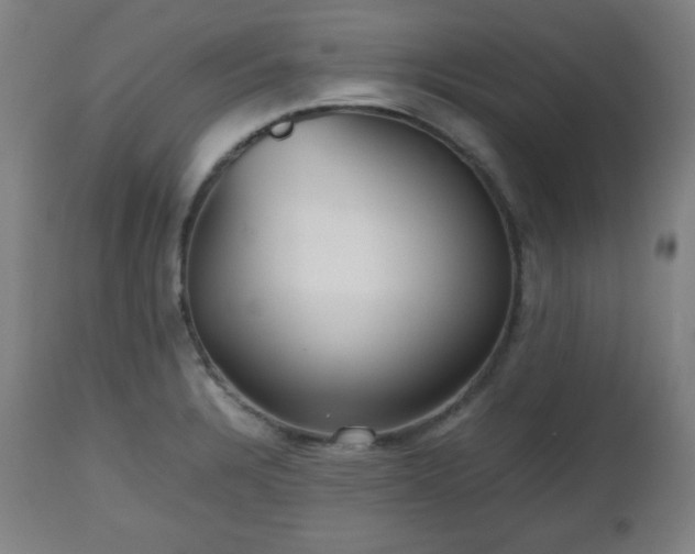 X0000112511328200908241410