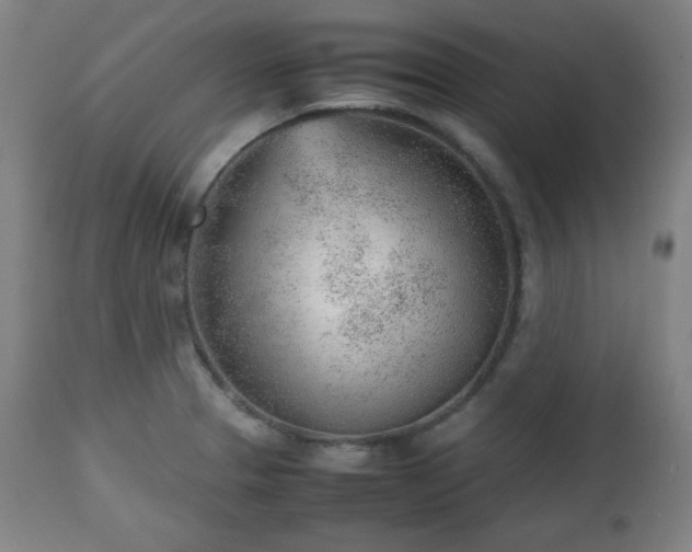 X0000112511329200908241410