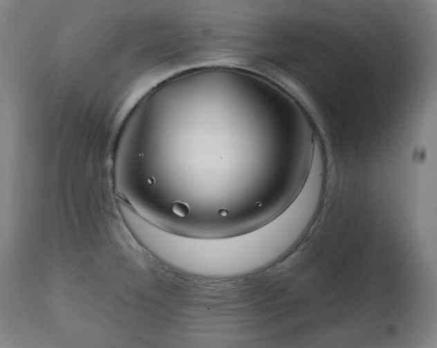 X0000112511332200908241410