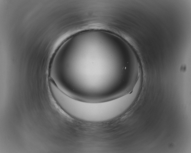 X0000112511334200908241410