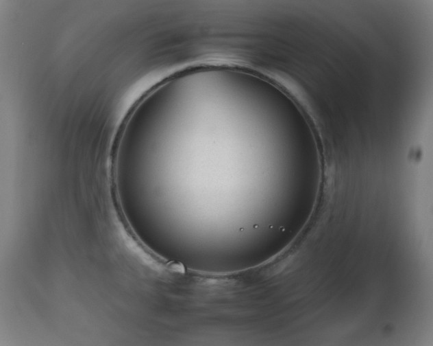 X0000112511335200908241410