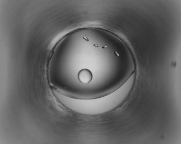 X0000112511336200908241410