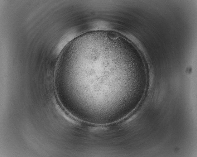 X0000112511337200908241410