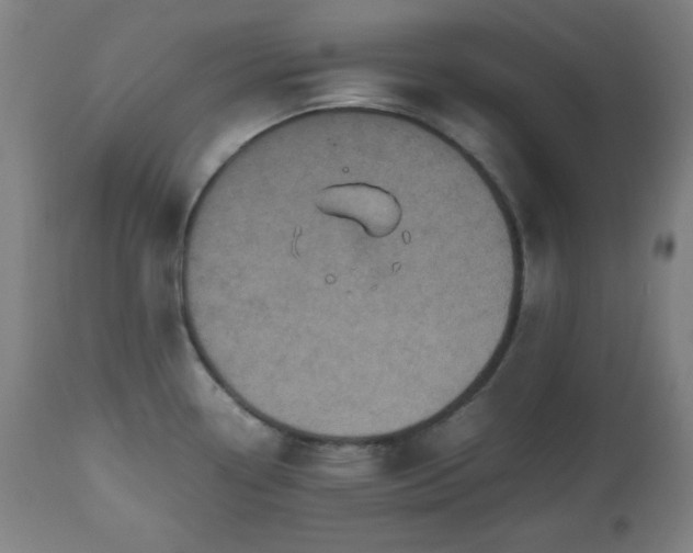 X0000112511338200908241410