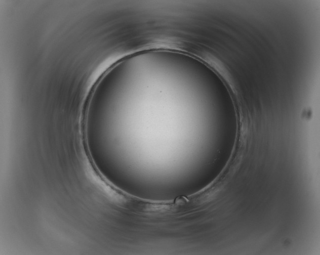 X0000112511339200908241410