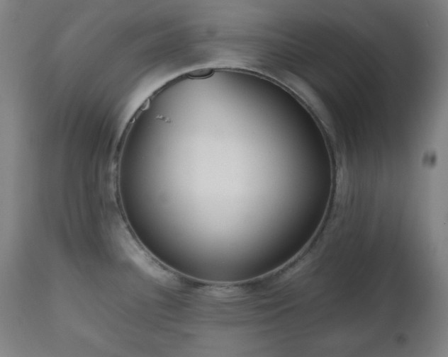 X0000112511340200908241410