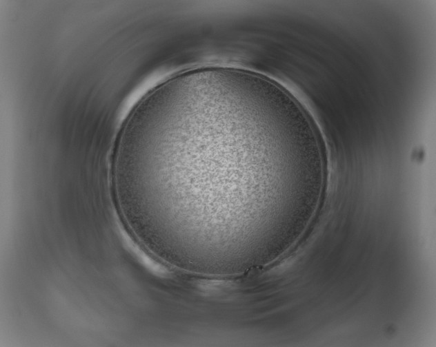 X0000112511341200908241410