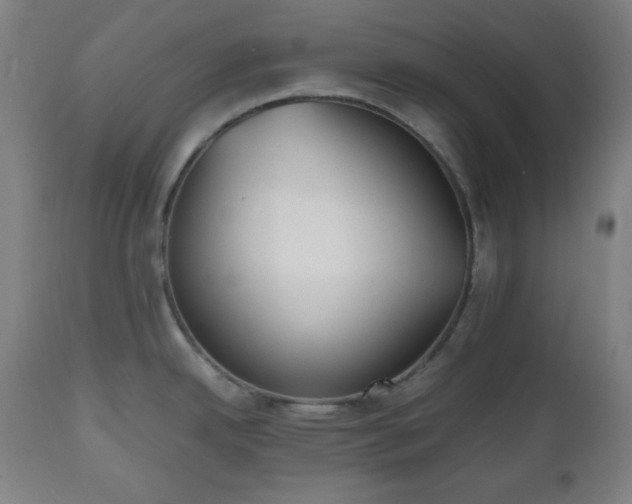 X0000112511342200908241410