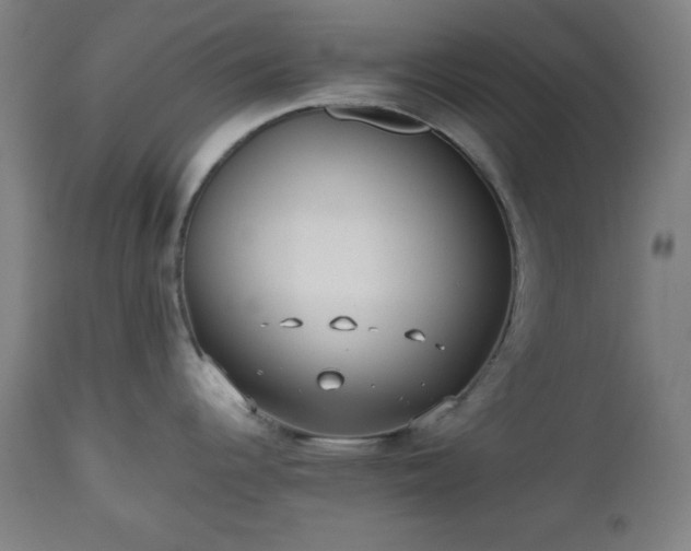 X0000112511344200908241410