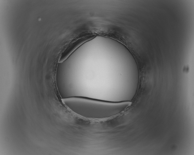 X0000112511345200908241410