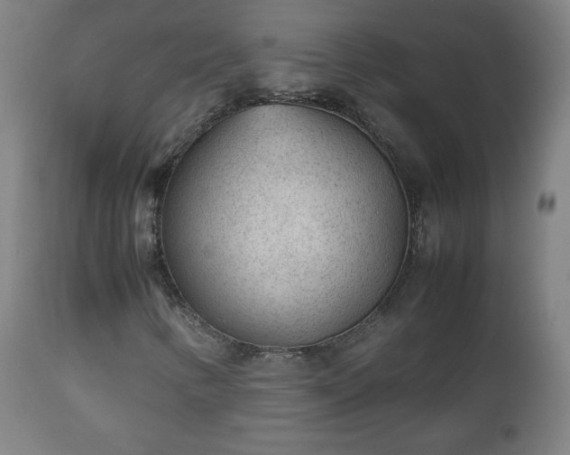 X0000112511346200908241410