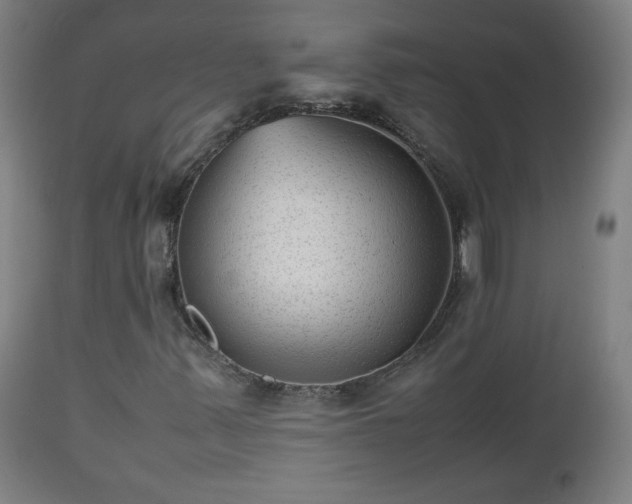 X0000112511347200908241410