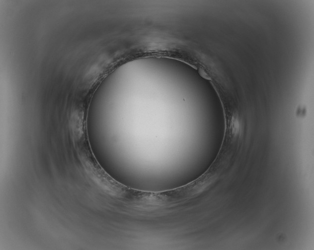 X0000112511348200908241410