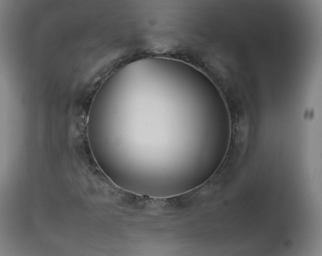 X0000112511349200908241410