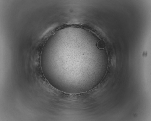 X0000112511350200908241410