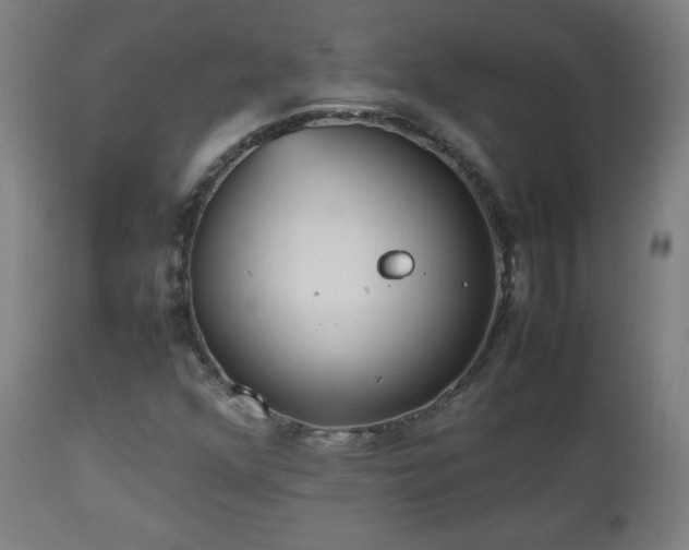 X0000112511352200908241410