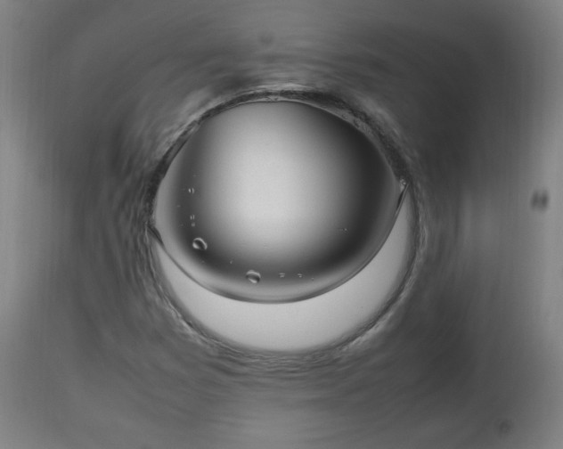 X0000112511353200908241410