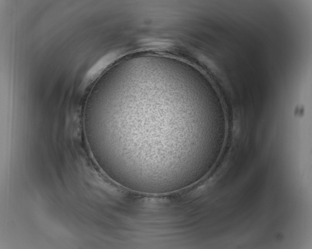 X0000112511354200908241410