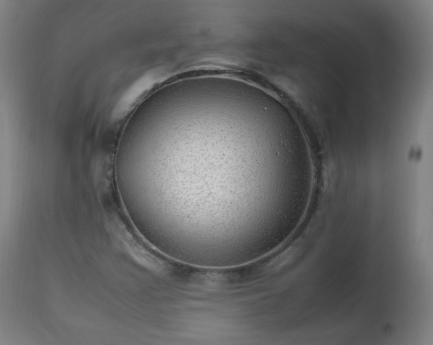 X0000112511355200908241410