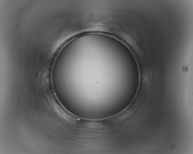 X0000112511356200908241410