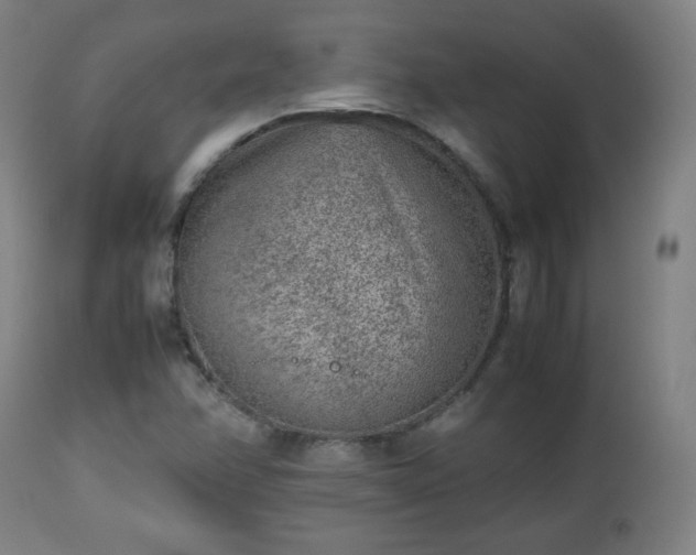 X0000112511358200908241410