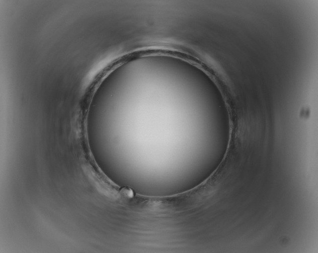 X0000112511360200908241410