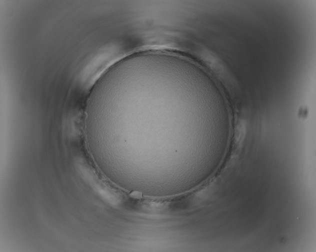 X0000112511361200908241410