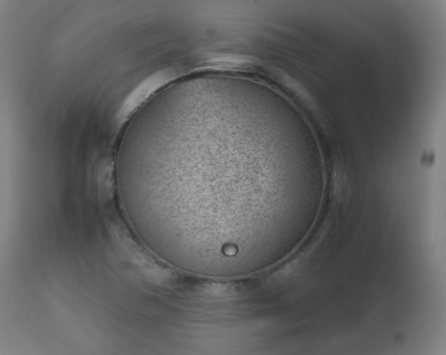 X0000112511362200908241410