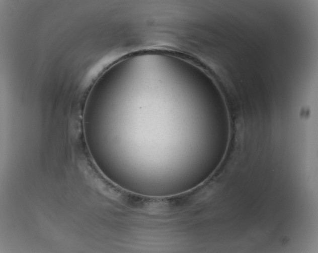 X0000112511363200908241410